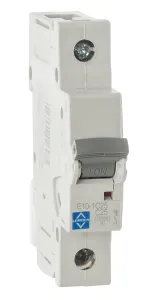 LEWDEN MCB SP Type C 25A 10kA