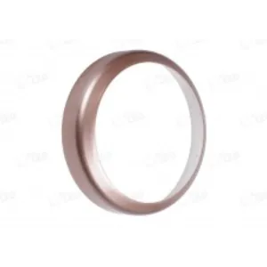 BRUNO2 / BRUNO3 - ROSE GOLD RING BEZEL FOR BRUNO B