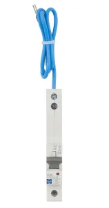 RCBO, C Curve 1 Module Type A