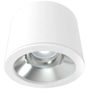 PLATINUM MATT RAL 9016 SURFACE D-LIGHT 225MM 1200L