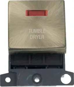 20A DP INGT SW+NEON AB "TUMBLE DRYER"