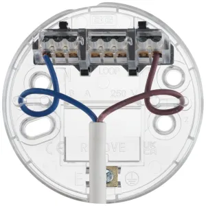 General Product Image