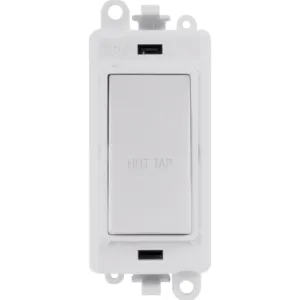 20AX Double Pole Switch Module - Polar White - Hot