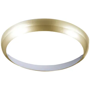 Matt Brass Bezel for 24W LED Bulkhead 400mm