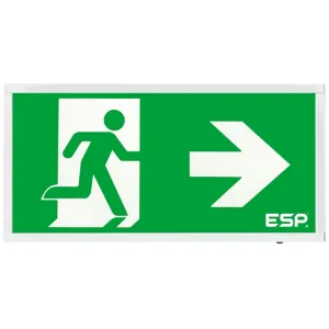 Duceri Emergency Self Test Surface Exit Box 3W LED