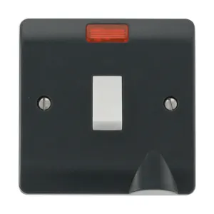 20A DP Switch with Flex Outlet & Neon