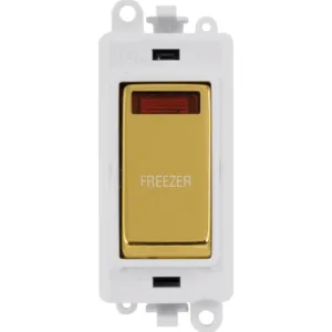 20AX Double Pole Switch With Neon Module - Polar W