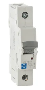 LEWDEN MCB SP Type B 50A 10kA