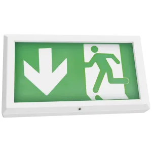 TEMPUS EXIT BOX 3HR EMERGENCY SELF-TEST MAINTAINED
