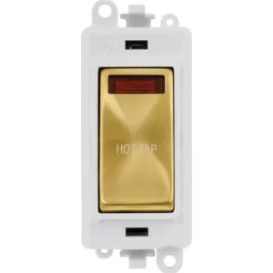 20AX Double Pole Switch With Neon Module - Polar W