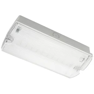 TEMPUS EMERGENCY MINI BULKHEAD MAINTAINED 3W 120LM