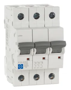 LEWDEN MCB TP Type C 63A 10kA