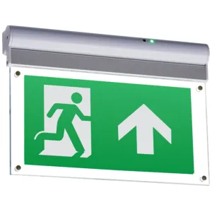 230V IP20 Wall or Ceiling Mounted LED Emergency Ex