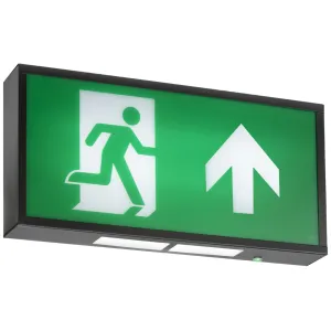 230V IP20 6W Wall Mounted LED Emergency Exit Box B