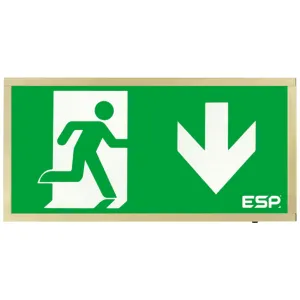 Duceri Emergency Surface Exit Box 3W LED IP20 Down
