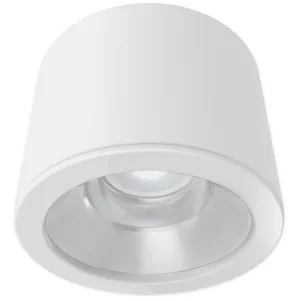 PLATINUM MATT RAL 9016 SURFACE D-LIGHT 225MM 1200L