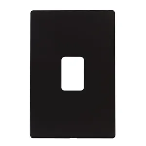 Definity - 50A 2 Gang Switch (Vertical) - Cover Pl