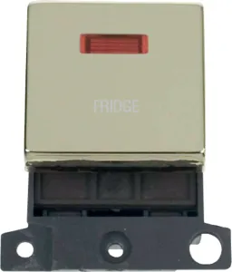 20A DP INGT SW+NEON BR "FRIDGE"