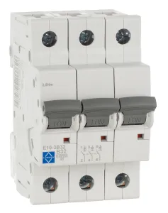 LEWDEN MCB TP Type B 32A 10kA