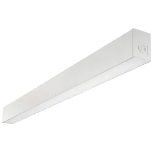 CON SUS 9016 LIN 1695MM 1800LM  3K DIM + EM