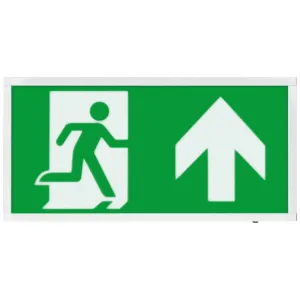Duceri Emergency Surface Exit Box 3W LED IP20 Up L
