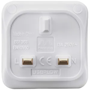 Plug, USB Charger